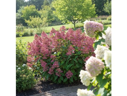 garden 1769596311236