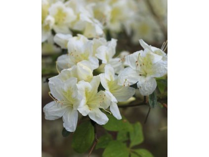 iStock 1210836584 modified 542d7c65 9aad 495c b16f 6787e1bfef9e