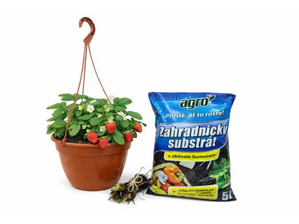 ChatGPT Image 30. 1. 2026 10 57 17