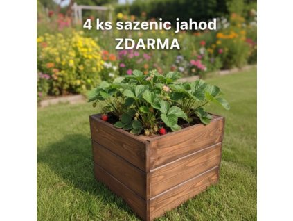 garden visualization (2)