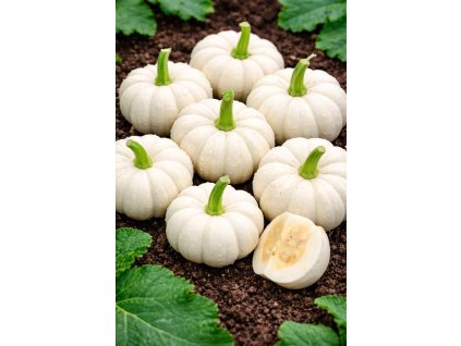 ChatGPT Image 10. 2. 2026 09 49 05