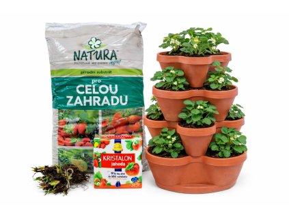 ChatGPT Image 30. 1. 2026 10 51 13