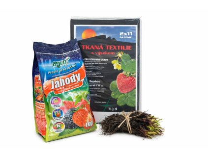 ChatGPT Image 30. 1. 2026 10 46 52