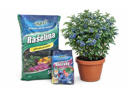 ChatGPT Image 30. 1. 2026 10 54 22