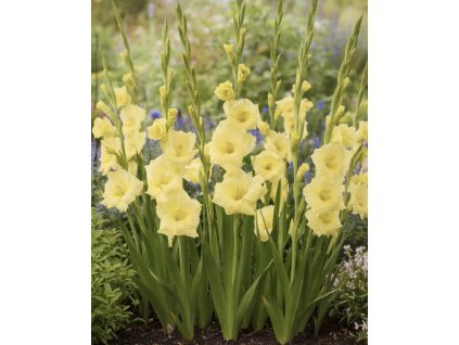 1B7BC99E 7548 465E 88C6 51283F5FA8BC