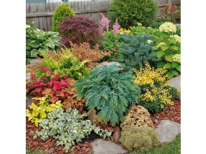 floral studio export (7)