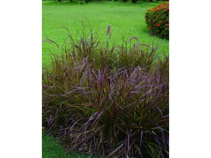 iStock 856935182 modified 2d60f3ea 3abf 4bcd 8b8e 61d198031a9f