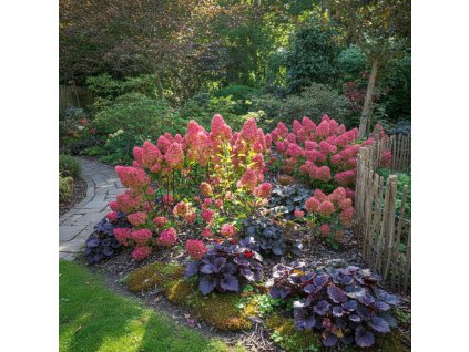 garden 1769594620292