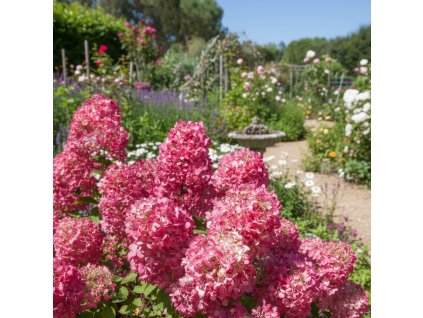 garden 1769595739590