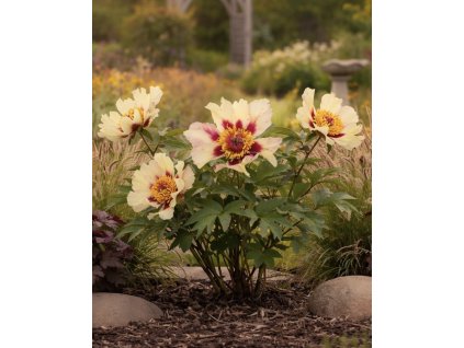 72FA7EB4 9340 43F7 B90F 85ED1F2C0421