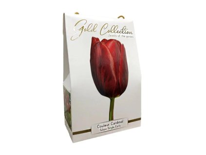 Tulipán 'Couleur Cardinal' - Dárkové balení