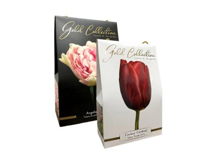 Gold collection duopack 1 1 1