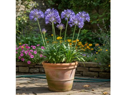 garden ai 1769687552442