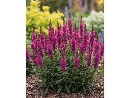 Generated Image October 22, 2025 12 49PM