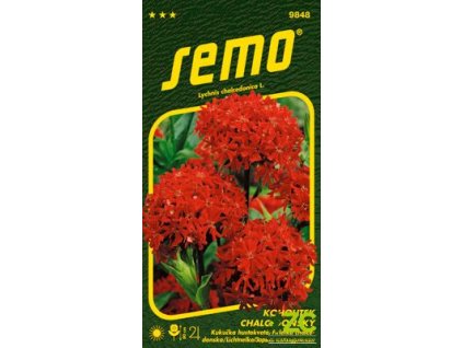 65d818f9 5b64 4e60 bfeb bf4ad4219e50