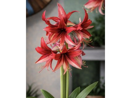 F0CCC9B3 7430 425D A3BF CA09A58DBC6A