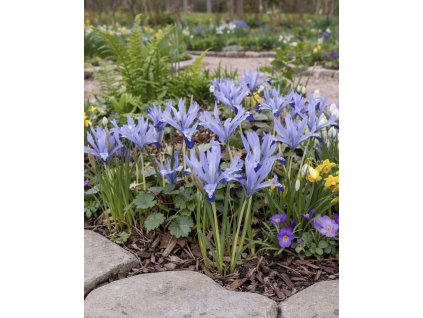 5A9A0443 9835 4FE2 8AC3 0560BE7B2C3E