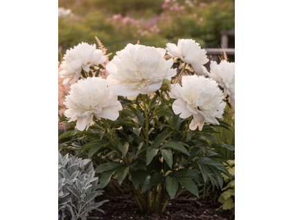 65BF4073 34BF 4120 AA71 163DB4B9250C