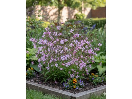 Generated Image October 23, 2025 12 56PM