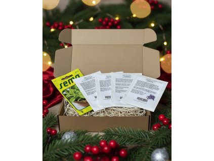 Generated Image November 19, 2025 9 16AM