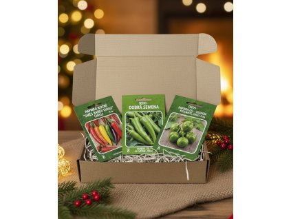 Generated Image November 19, 2025 2 03PM