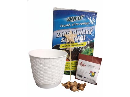 Generated Image November 21, 2025 9 39AM