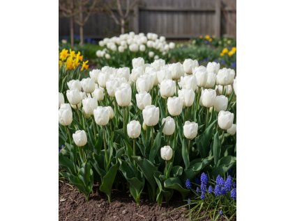 Generated Image November 21, 2025 1 30PM