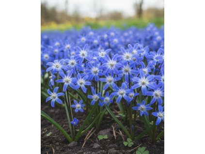 Generated Image November 21, 2025 2 52PM