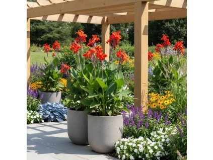 canna garden fmm0uwehv (1)