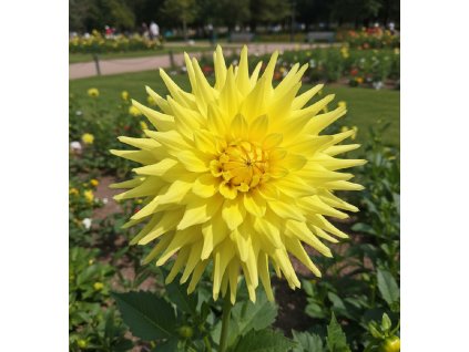 white bg result (11)