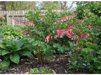 white bg result (14)