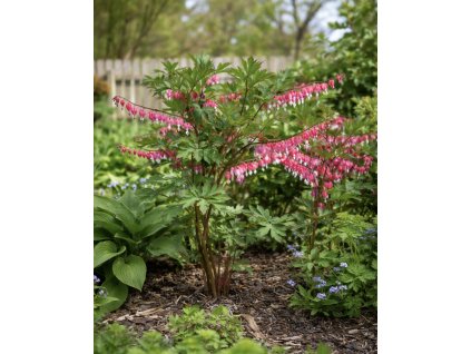 6912153F 8B3A 4989 9269 49F6478E17F4