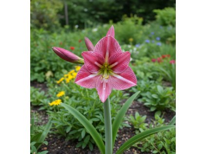 white bg result (46)