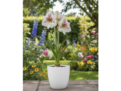 white bg result (48)