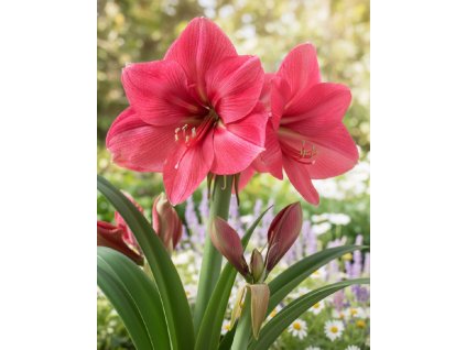 white bg result (50)