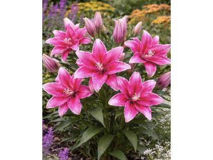 F49D396C 181E 4C32 98D1 65F21878A2F2