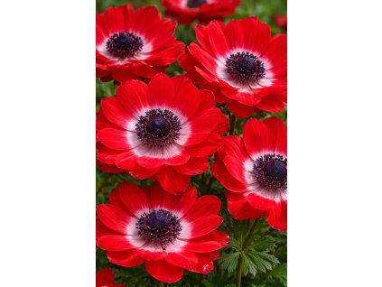 ChatGPT Image 13. 2. 2026 13 47 10