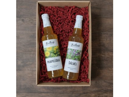 ChatGPT Image 6. 1. 2026 14 44 52