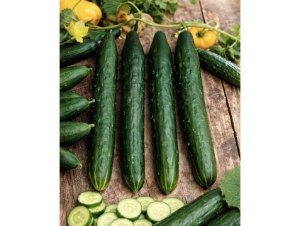 8B84AA97 D10A 44CE 9EB3 33E5A0A3ECB2