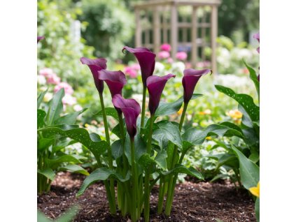 garden ai 1767685119454