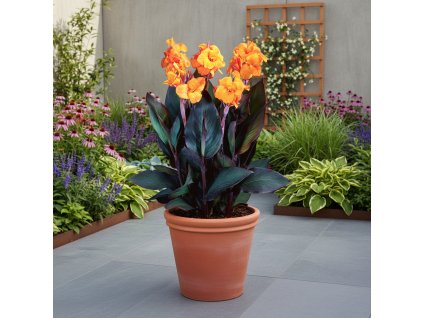 garden ai 1770367621369