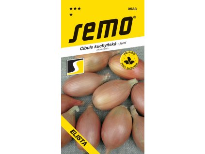 cibule jarni elista zluta salatova 1 5g