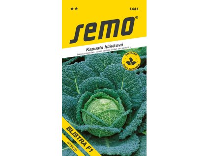 kapusta hlavkova blistra f1 pozdni 35s