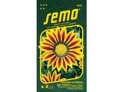 gazanie zariva daybreak red stripe f1 15s