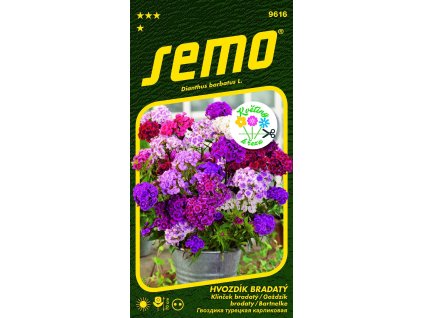 hvozdik bradaty fragrance mix 0 5g serie kvetiny k rezu