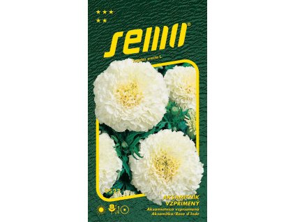 aksamitnik vzprimeny kilimanjaro white 15s