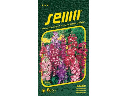 dracik penstemon smes 0 1g