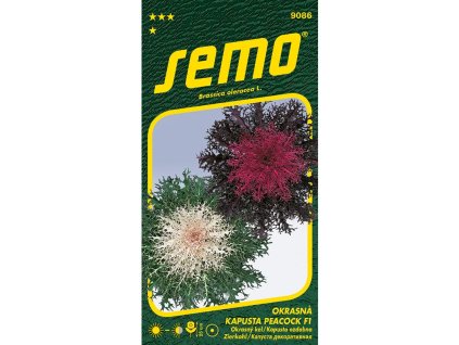 9086 okrasna kapusta peacock f1 mix rs