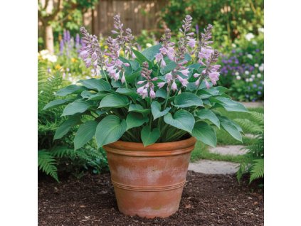 white bg result (93)