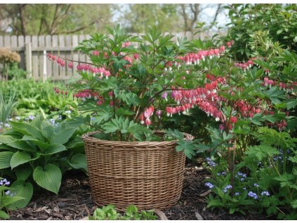 white bg result 2026 01 13T124559.144